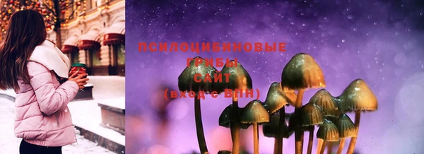 скорость Горно-Алтайск