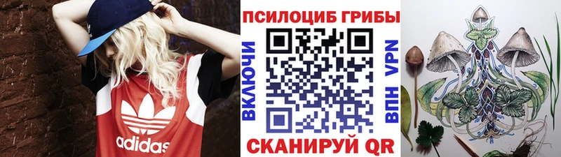 Псилоцибиновые грибы мухоморы  Купить закладки  Серпухов 